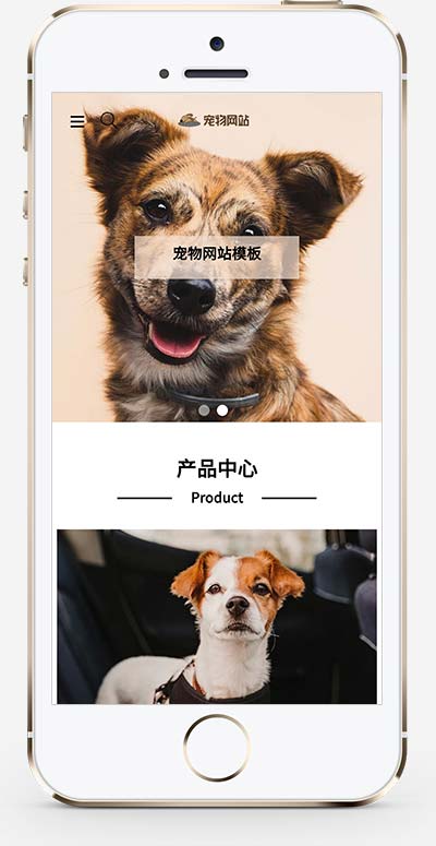 (自适应手机端)宠物商店宠物装备类网站pbootcms模板 宠物网站源码下载